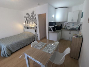 Studio Rue Castellane pour Cure ou Tourisme Vert à 2 min des Thermes